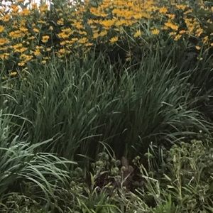 Meet your Posher, Michaela